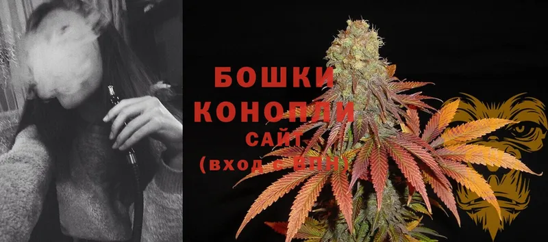 где найти наркотики  Демидов  МАРИХУАНА Ganja 